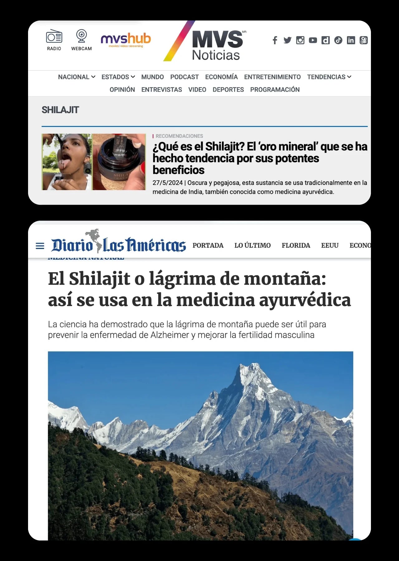 Shilajit Original Himalaya